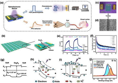 金属所双重功能光电子器件研究取得进展