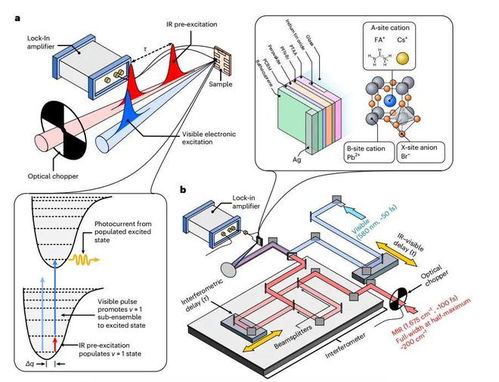 超快振动控制 利用振动促进电子共振优化钙钛矿光电器件性能