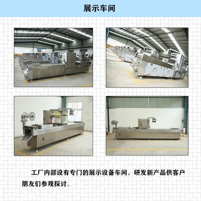 DZ-520光电器件 技术特性、应用领域与市场前景分析